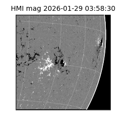 shmi - 2026-01-29T03:58:30.600000