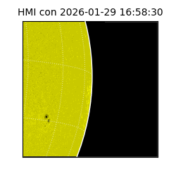 shmi - 2026-01-29T16:58:30.400000