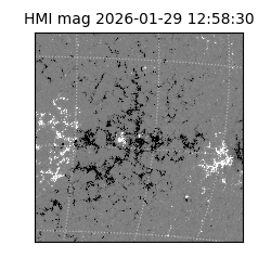 shmi - 2026-01-29T12:58:30.500000