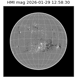 shmi - 2026-01-29T12:58:30.500000