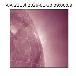 saia - 2026-01-30T09:00:09.626000