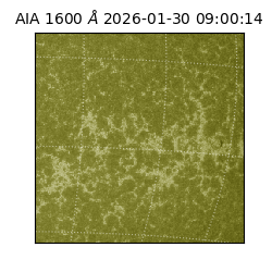 saia - 2026-01-30T09:00:14.126000