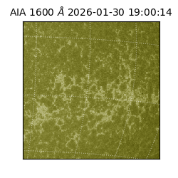 saia - 2026-01-30T19:00:14.126000