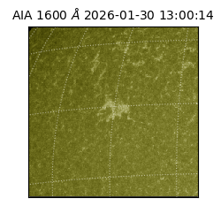 saia - 2026-01-30T13:00:14.125000