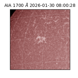 saia - 2026-01-30T08:00:28.726000