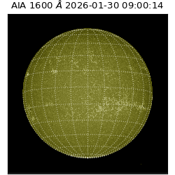 saia - 2026-01-30T09:00:14.126000