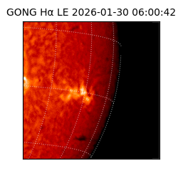 gong - 2026-01-30T06:00:42