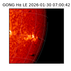 gong - 2026-01-30T07:00:42