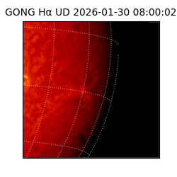 gong - 2026-01-30T08:00:02