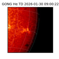 gong - 2026-01-30T09:00:22