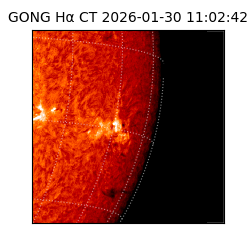 gong - 2026-01-30T11:02:42