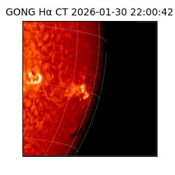 gong - 2026-01-30T22:00:42