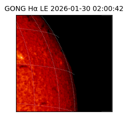 gong - 2026-01-30T02:00:42