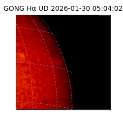 gong - 2026-01-30T05:04:02