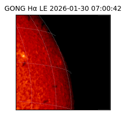 gong - 2026-01-30T07:00:42