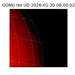 gong - 2026-01-30T08:00:02