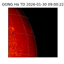 gong - 2026-01-30T09:00:22