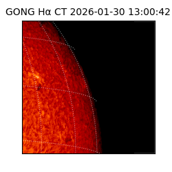 gong - 2026-01-30T13:00:42