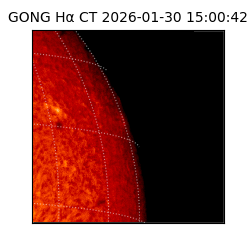 gong - 2026-01-30T15:00:42