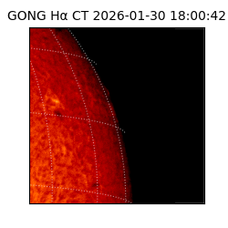 gong - 2026-01-30T18:00:42