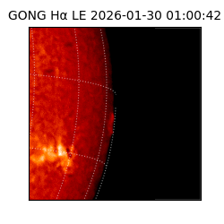 gong - 2026-01-30T01:00:42