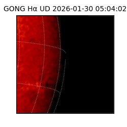 gong - 2026-01-30T05:04:02