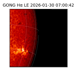 gong - 2026-01-30T07:00:42