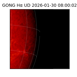 gong - 2026-01-30T08:00:02