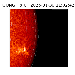gong - 2026-01-30T11:02:42