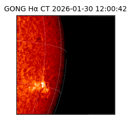 gong - 2026-01-30T12:00:42