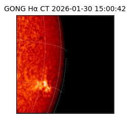gong - 2026-01-30T15:00:42