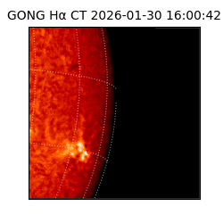 gong - 2026-01-30T16:00:42