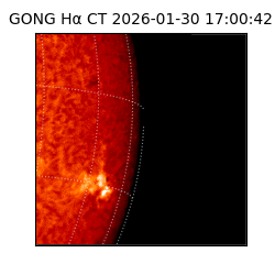 gong - 2026-01-30T17:00:42