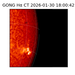 gong - 2026-01-30T18:00:42