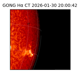 gong - 2026-01-30T20:00:42