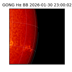 gong - 2026-01-30T23:00:02