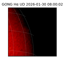 gong - 2026-01-30T08:00:02
