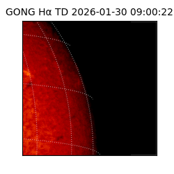 gong - 2026-01-30T09:00:22