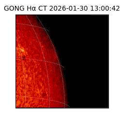 gong - 2026-01-30T13:00:42