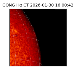 gong - 2026-01-30T16:00:42