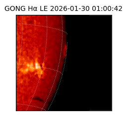 gong - 2026-01-30T01:00:42