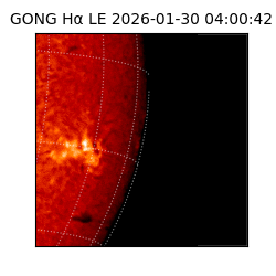 gong - 2026-01-30T04:00:42