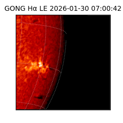 gong - 2026-01-30T07:00:42