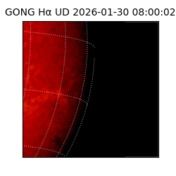 gong - 2026-01-30T08:00:02
