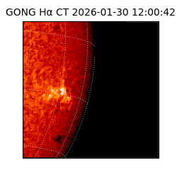 gong - 2026-01-30T12:00:42