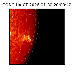 gong - 2026-01-30T20:00:42