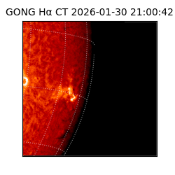 gong - 2026-01-30T21:00:42