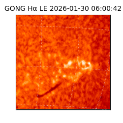 gong - 2026-01-30T06:00:42