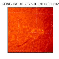 gong - 2026-01-30T08:00:02