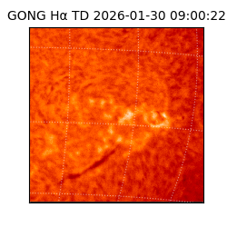 gong - 2026-01-30T09:00:22